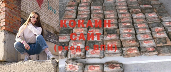 прущие грибы Каменногорск