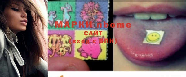 прущие грибы Каменногорск