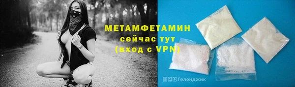 прущие грибы Каменногорск