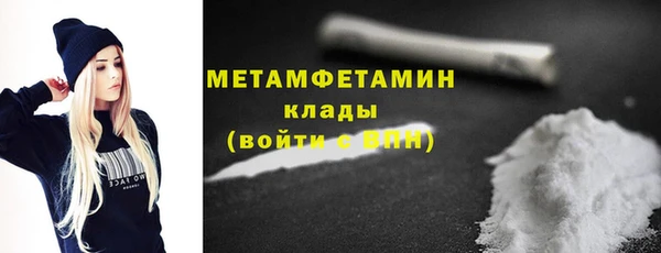 прущие грибы Каменногорск