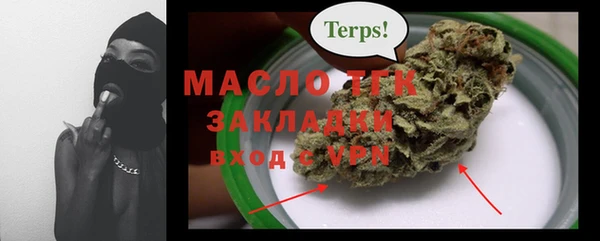 прущие грибы Каменногорск