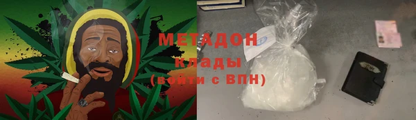 прущие грибы Каменногорск