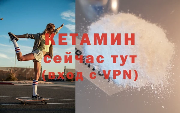 прущие грибы Каменногорск