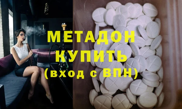 прущие грибы Каменногорск