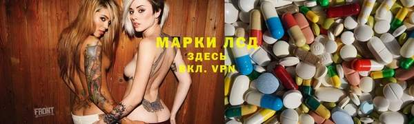гидра Каменск-Шахтинский