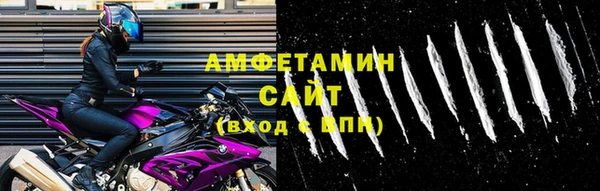 прущие грибы Каменногорск