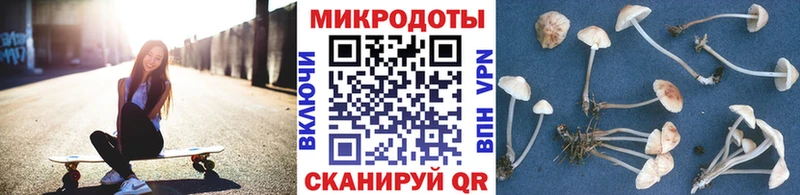 Псилоцибиновые грибы Cubensis  Купить  Выкса 